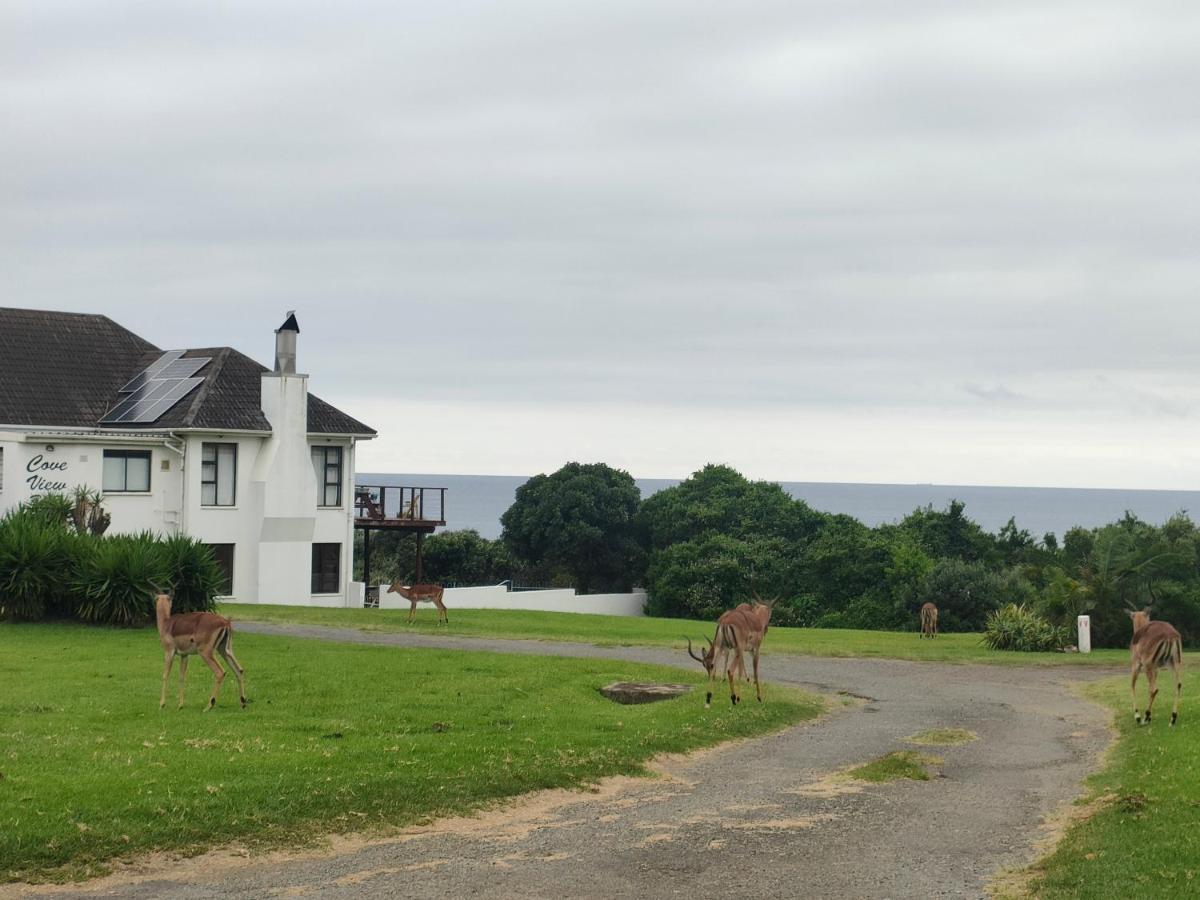 Cove View B&B East London Luaran gambar